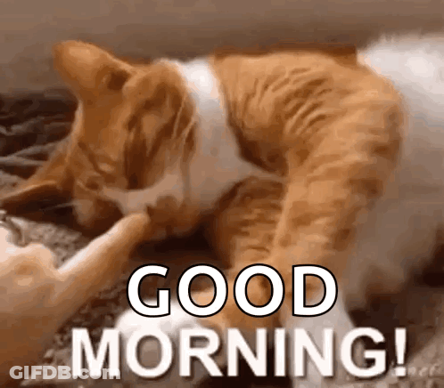 A Cat Is Petting Another Cat 'S Paw While Laying On A Bed And Says `` Good Morning '' . GIF