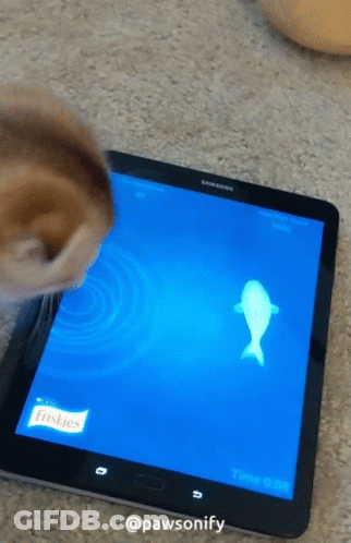 A Cat Is Playing A Game On A Samsung Tablet GIF