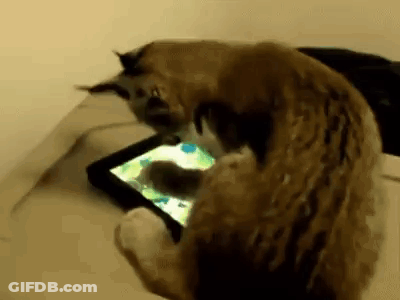 A Cat Is Playing A Game On A Tablet On A Table . GIF