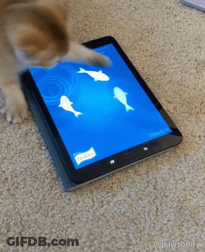 A Cat Is Playing A Game On A Tablet That Says Fishies On The Screen GIF