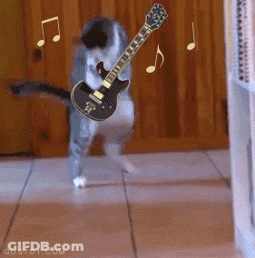 A Cat Is Playing A Guitar With Music Notes Flying Around It GIF