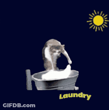 A Cat Is Playing In A Laundry Bucket With The Sun Behind It GIF