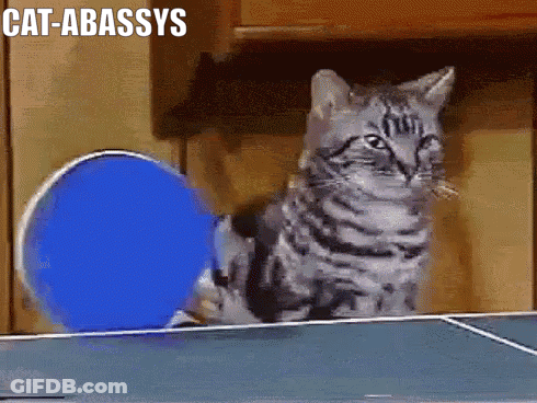 A Cat Is Playing Ping Pong With A Blue Ball And The Caption Cat-Abassys Is Above It GIF