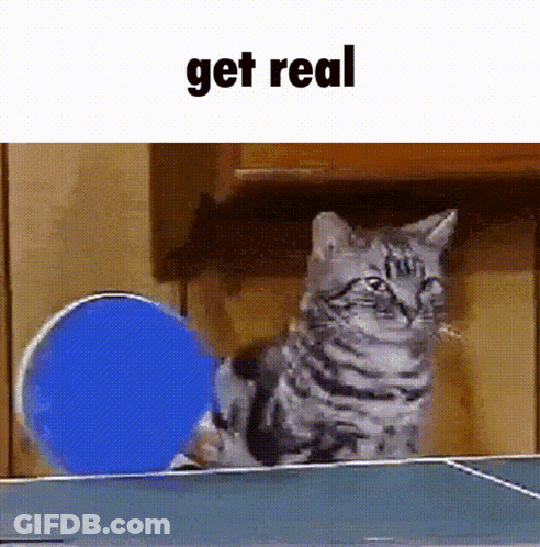 A Cat Is Playing Ping Pong With A Blue Ball And The Text Get Real GIF