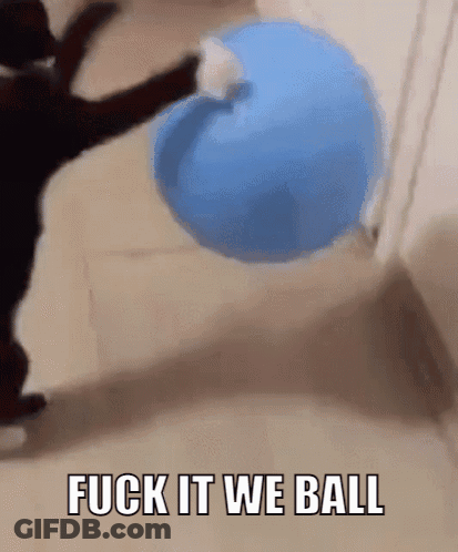 A Cat Is Playing With A Blue Ball With The Words " Fuck It We Ball " Below It GIF