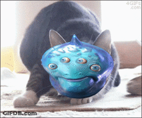 A Cat Is Playing With A Blue Toy That Looks Like A Fish GIF