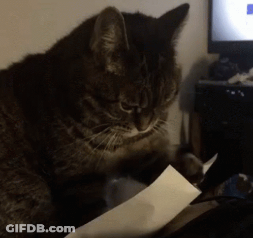 A Cat Is Playing With A Piece Of Paper In Front Of A Computer Monitor GIF