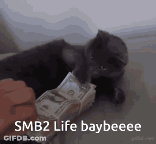 A Cat Is Playing With A Stack Of Money And The Caption Says Smb2 Life Baybeeee GIF