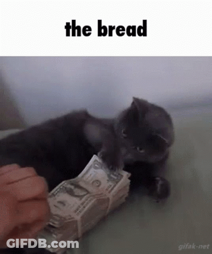 A Cat Is Playing With A Stack Of Money And The Words The Bread Are Above It GIF