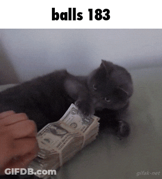 A Cat Is Playing With A Stack Of Money With The Words " Balls 183 " Above It GIF
