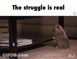 A Cat Is Playing With A Stick Under A Table With The Words `` The Struggle Is Real '' Above It . GIF