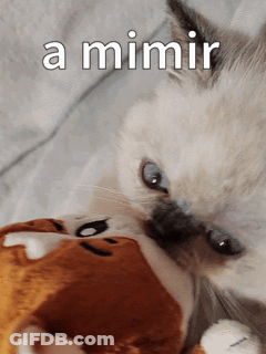 A Cat Is Playing With A Stuffed Animal With The Words " A Mimir " Above It GIF