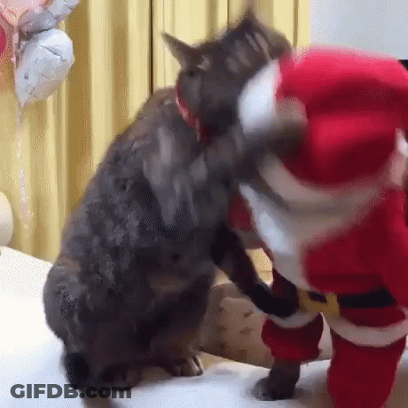 A Cat Is Playing With A Stuffed Santa Claus Toy . GIF