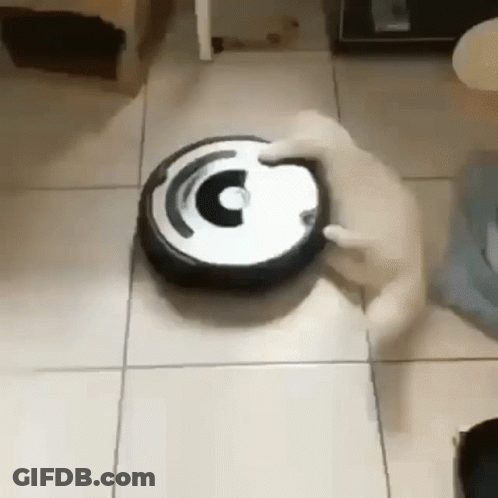 A Cat Is Playing With A Vacuum Cleaner On A Tiled Floor . GIF