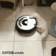 A Cat Is Playing With A Vacuum Cleaner On A Tiled Floor . GIF