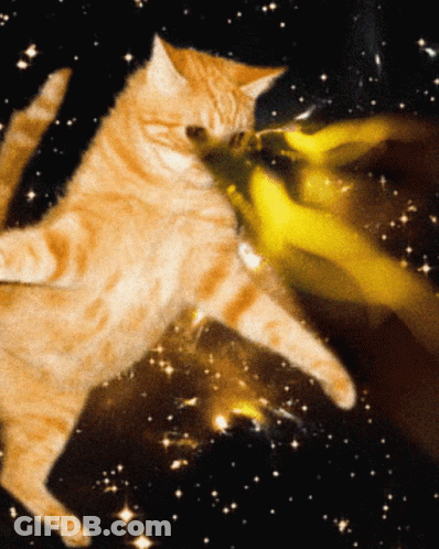 A Cat Is Playing With A Yellow Object In Outer Space GIF