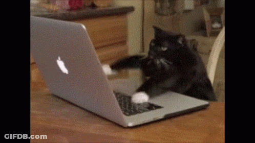 A Cat Is Playing With An Apple Laptop On A Table . GIF