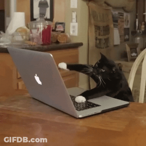 A Cat Is Playing With An Apple Laptop On A Table GIF