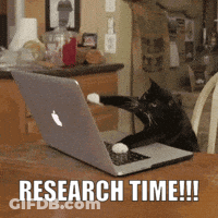 A Cat Is Playing With An Apple Laptop With The Words Research Time Written Below It GIF