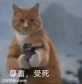 A Cat Is Pointing A Gun At The Camera With Chinese Writing On It . GIF