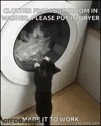 A Cat Is Putting Clothes From Bathroom In A Washer , Please Put In Dryer . GIF