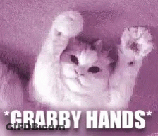 A Cat Is Raising Its Paws In The Air With The Words `` Grabby Hands '' Written Below It . GIF