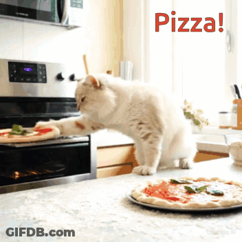 A Cat Is Reaching For A Pizza In An Oven With The Words Pizza Behind It GIF