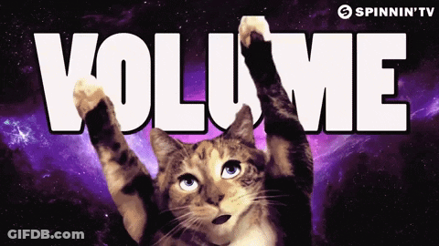 A Cat Is Reaching For The Word Volume GIF
