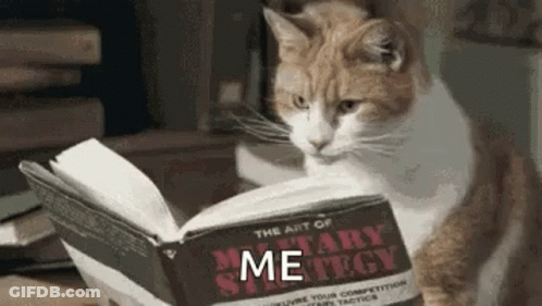 A Cat Is Reading A Book On Military Strategy . GIF