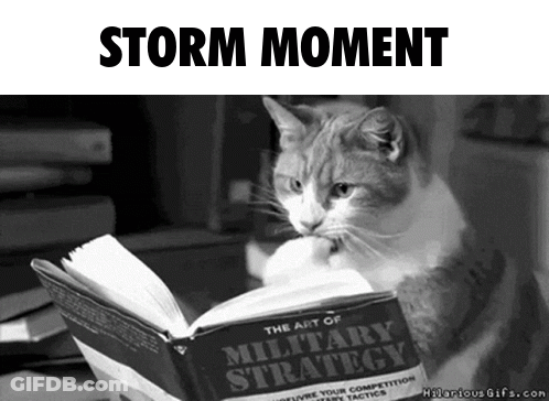 A Cat Is Reading The Art Of Military Strategy Book GIF