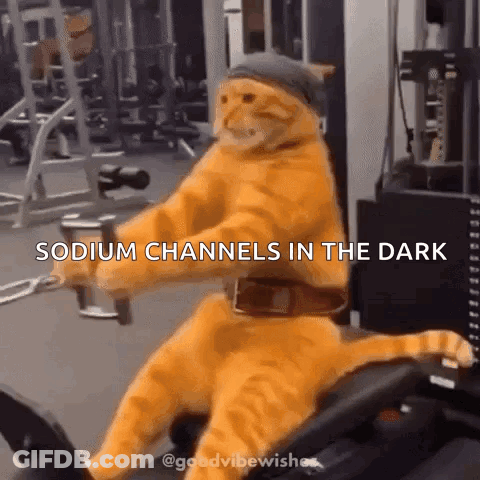 A Cat Is Riding A Bicycle In A Gym With The Caption Sodium Channels In The Dark . GIF
