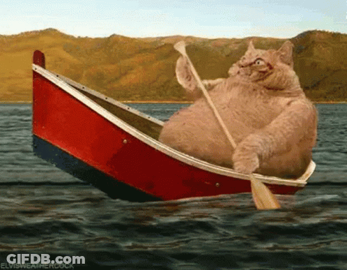 A Cat Is Rowing A Boat In The Water With Elvisweathercock Written Below It GIF