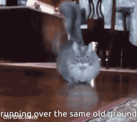 A Cat Is Running Over The Same Old Ground In A Room GIF