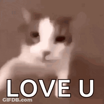 A Cat Is Saying " Love U " In A Blurry Photo GIF