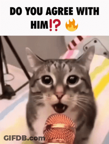 A Cat Is Singing Into A Microphone With The Caption Do You Agree With Him ? GIF
