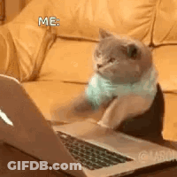 A Cat Is Sitting At A Table With A Laptop Computer . GIF