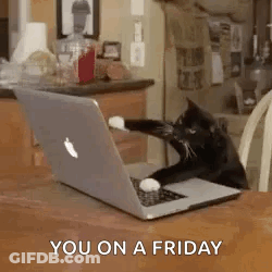 A Cat Is Sitting At A Table With A Laptop Computer . GIF