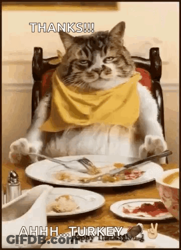 A Cat Is Sitting At A Table With A Plate Of Food And A Fork . GIF