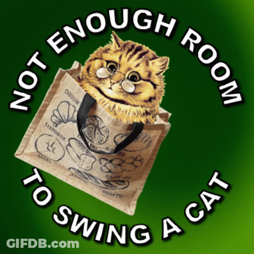 A Cat Is Sitting In A Bag That Says Not Enough Room To Swing A Cat GIF