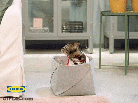 A Cat Is Sitting In A Basket With Ikea Written On It GIF