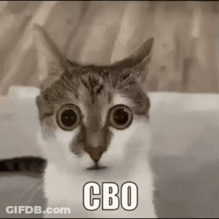 A Cat Is Sitting In A Bathtub With Its Eyes Wide Open And Looking At The Camera . GIF
