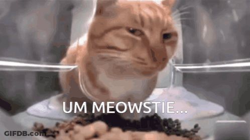 A Cat Is Sitting In A Bowl Of Food With The Words Um Meowstie Written Above It GIF