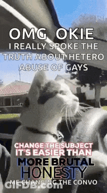 A Cat Is Sitting In A Car With A Caption That Says OMG Okie I Really Spoke The Truth About Hetero GIF