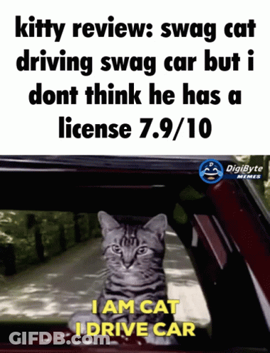 A Cat Is Sitting In A Car With The Caption Kitty Review Swag Cat Driving Swag Car But I GIF
