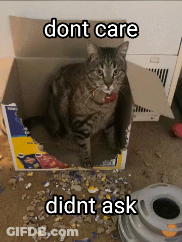 A Cat Is Sitting In A Cardboard Box That Says Dont Care GIF