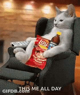 A Cat Is Sitting In A Chair With A Bag Of Lay Chips And A Bottle Of Pepsi GIF
