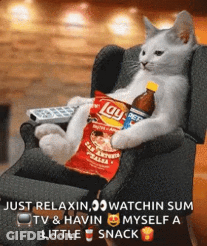 A Cat Is Sitting In A Chair With A Bag Of Lays Chips And A Bottle Of Pepsi GIF