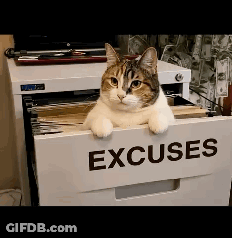 A Cat Is Sitting In A Filing Cabinet That Says Excuses GIF