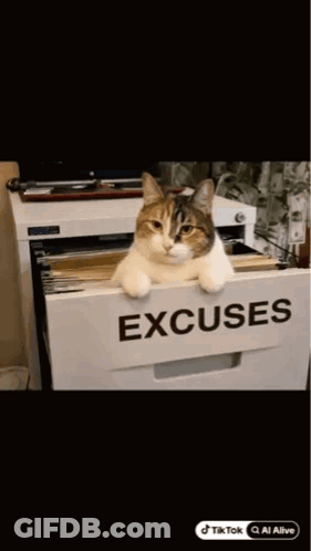 A Cat Is Sitting In A Filing Cabinet With The Word Excuses On It GIF