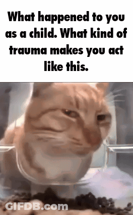A Cat Is Sitting In A Plastic Container With Food And A Caption That Says What Happened To You As A Child . GIF